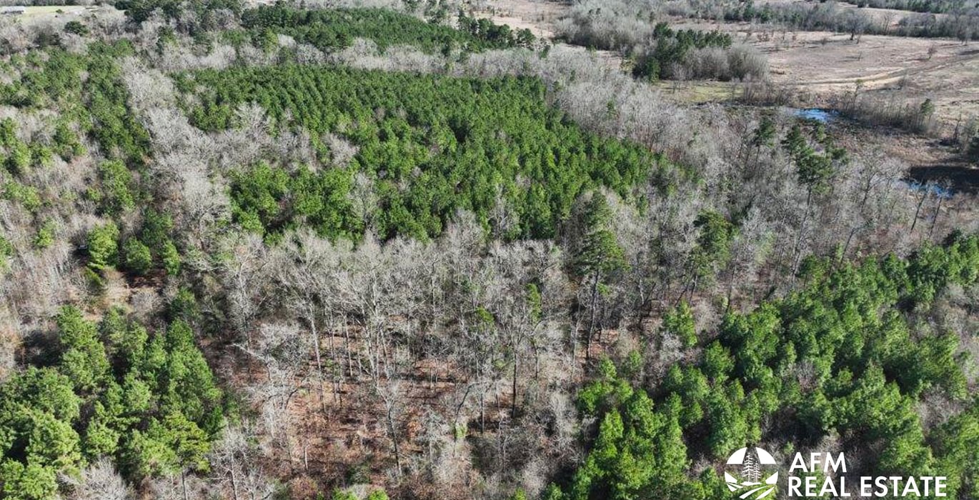 997 DJI 20250201142726 0013 V