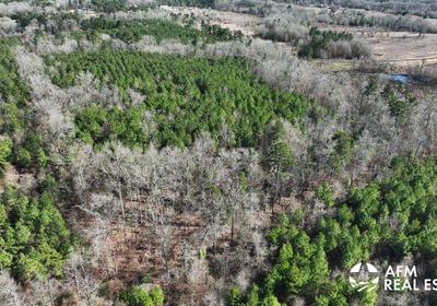 997 DJI 20250201142726 0013 V