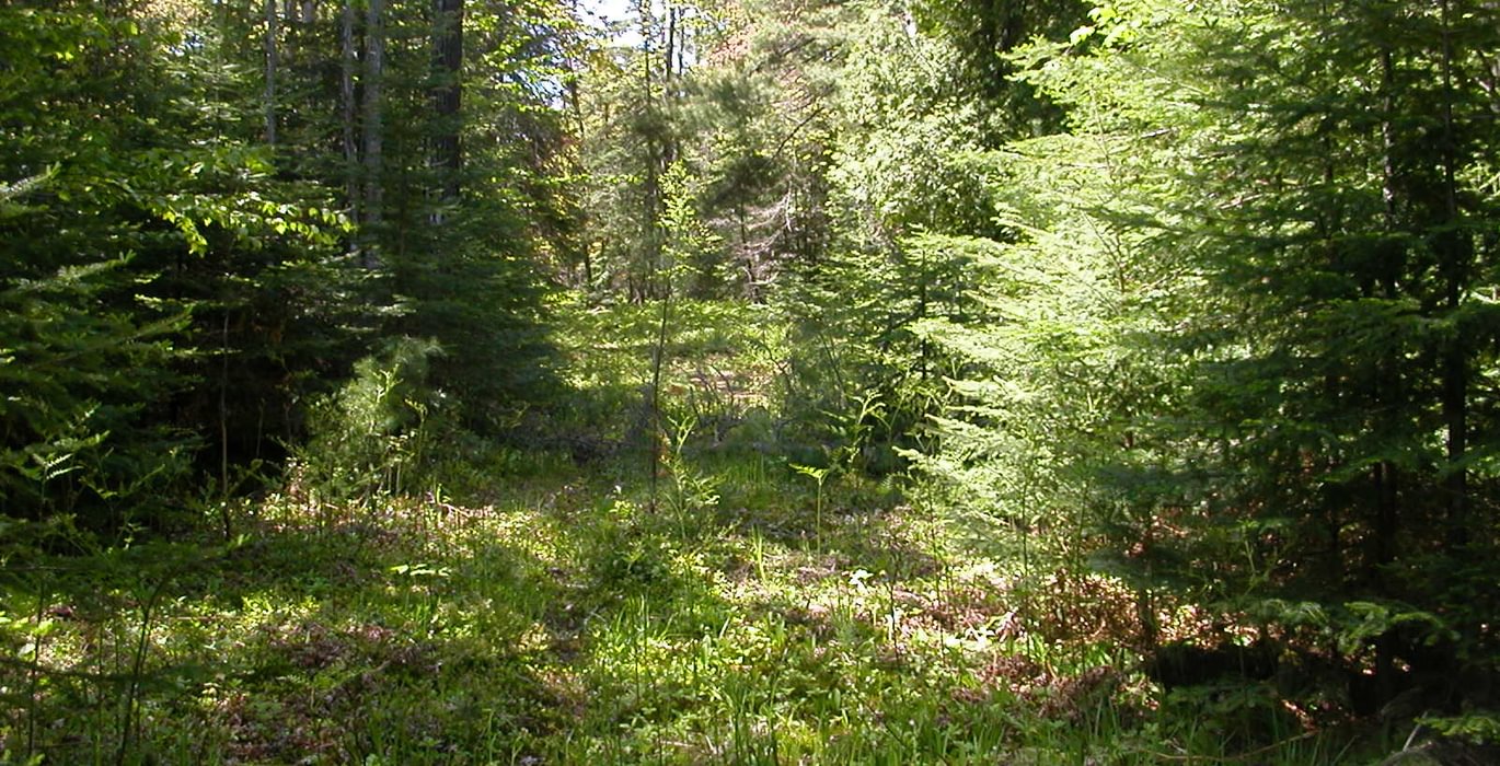 998 Eagle Harbor South 016