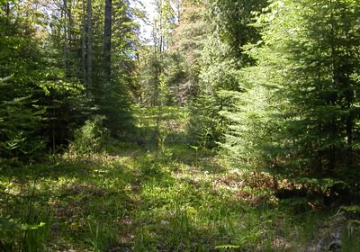 998 Eagle Harbor South 016