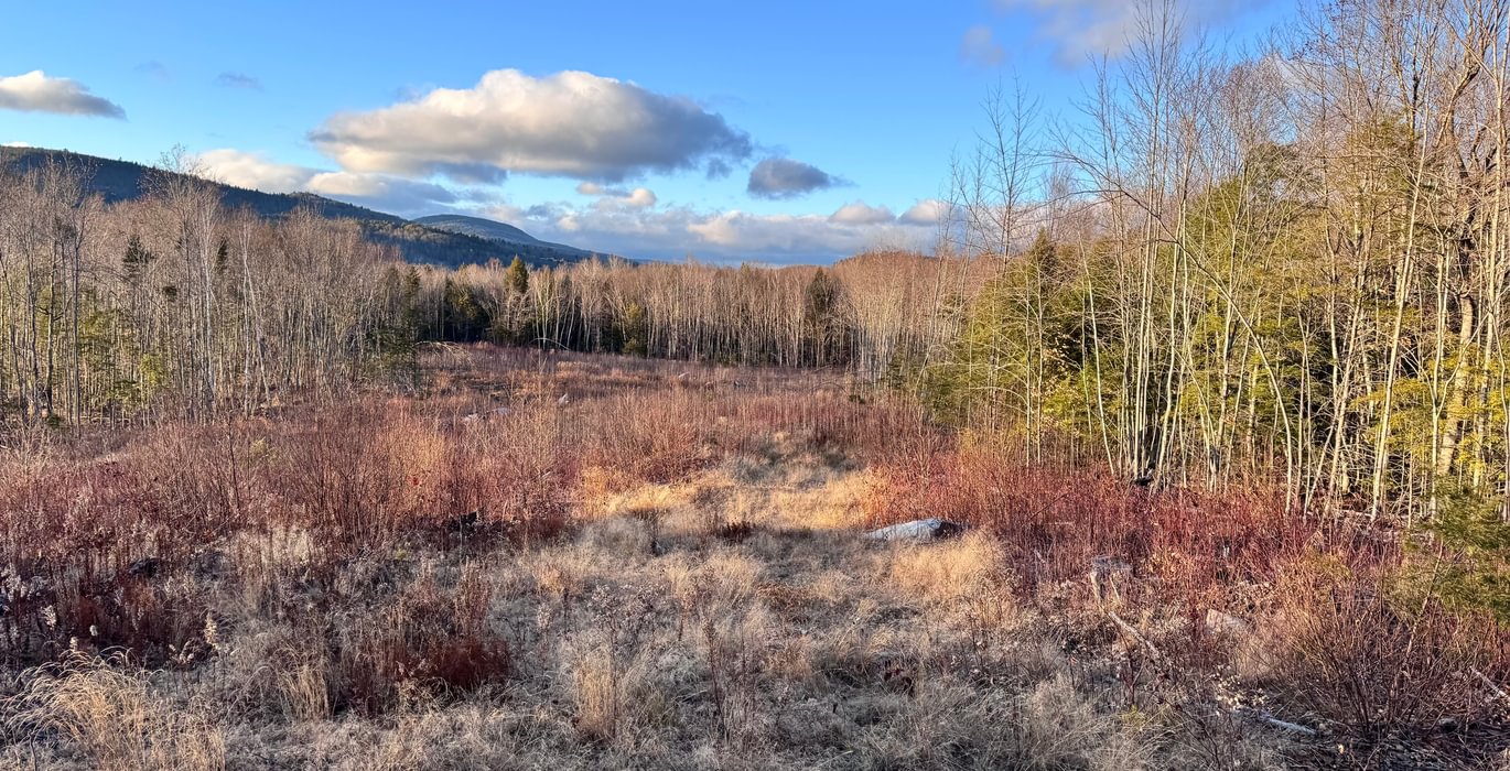 999 Overview of lot 3