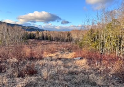 999 Overview of lot 3