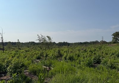 99 IMG 0074