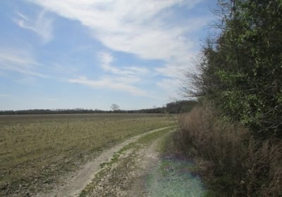 014 IMG 0344