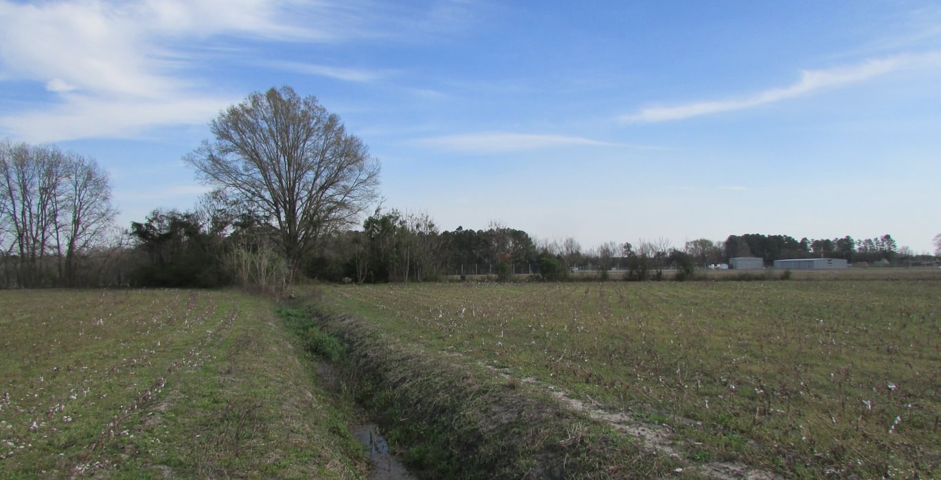 017 IMG 0361
