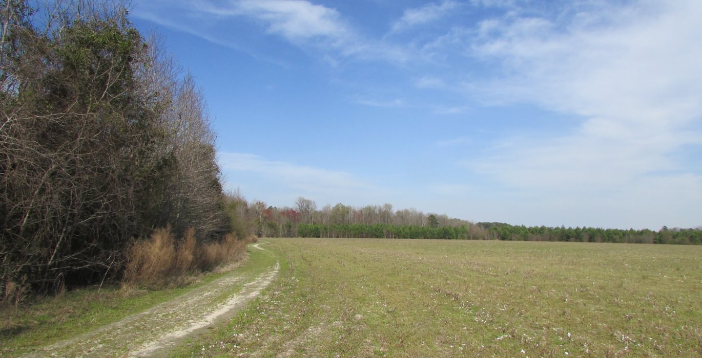 018 IMG 0347