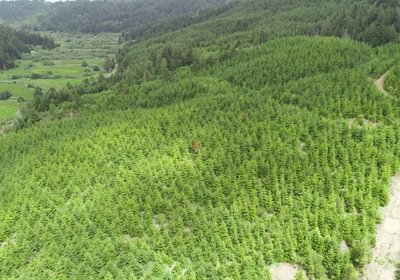 13 DJI 0102