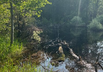 13 IMG 1828