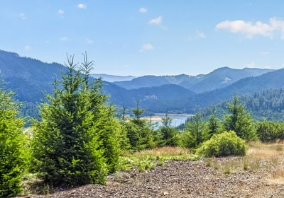 13 IMG 3542