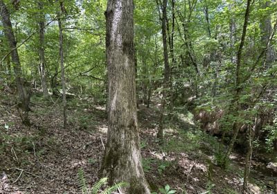 13 IMG 6422
