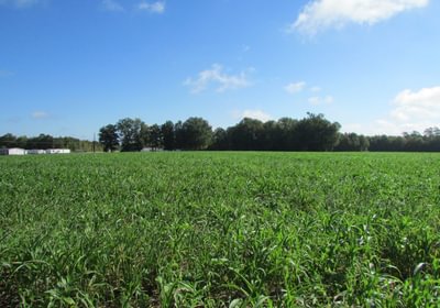 100 1 IMG 1204