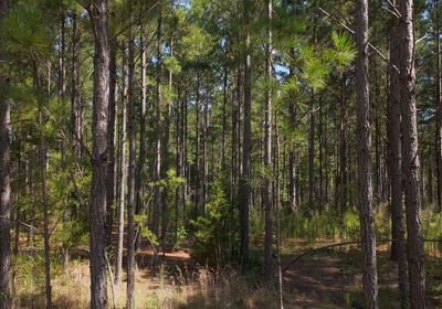 100 Cabin Creek Photo 35