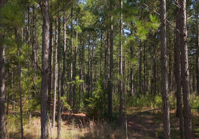 100 Cabin Creek Photo 35