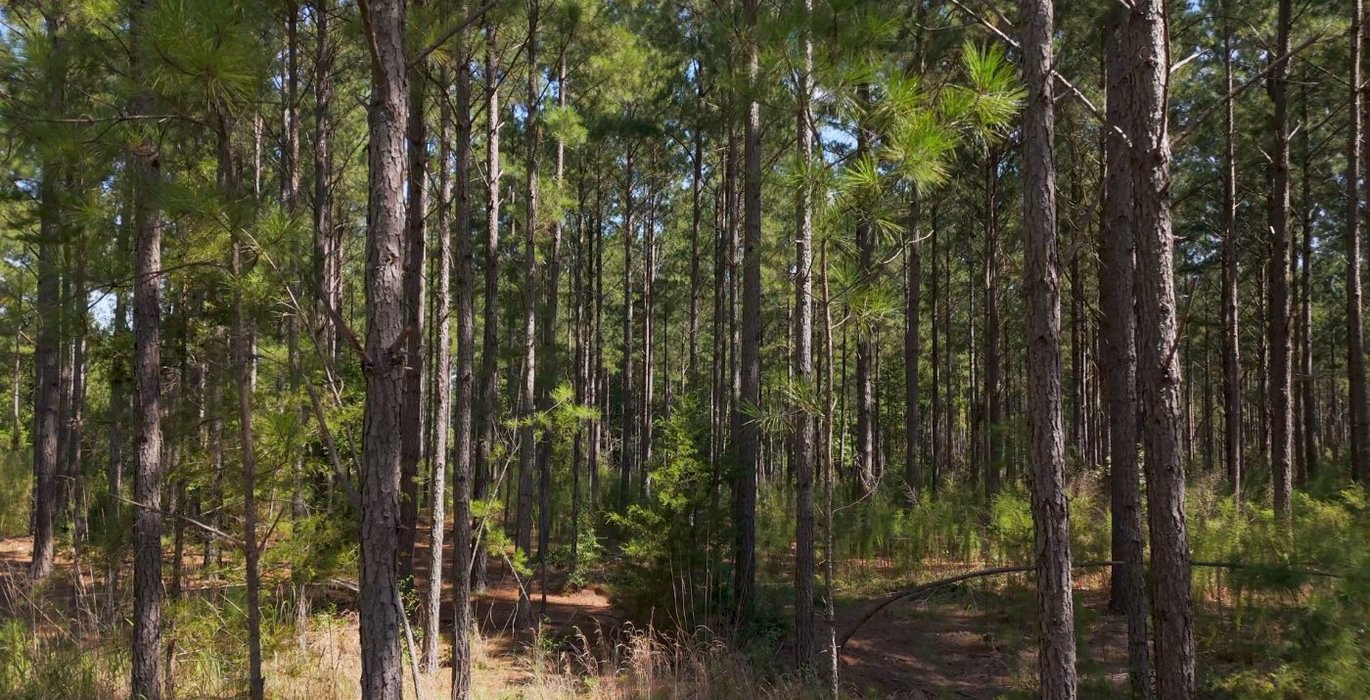 100 Cabin Creek Photo 35