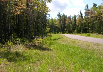 100 Eagle Harbor South 010