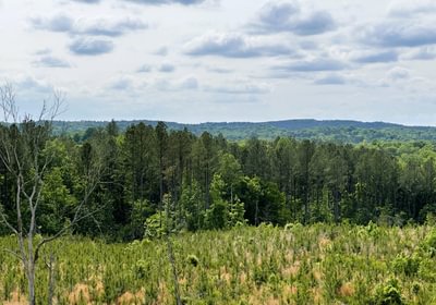100 IMG 0760a