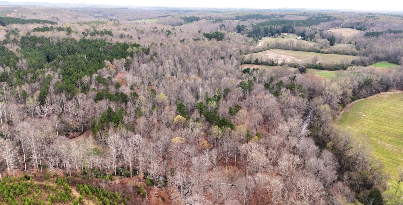 101 AFM West Fork 85 Photo 31