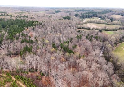 101 AFM West Fork 85 Photo 31