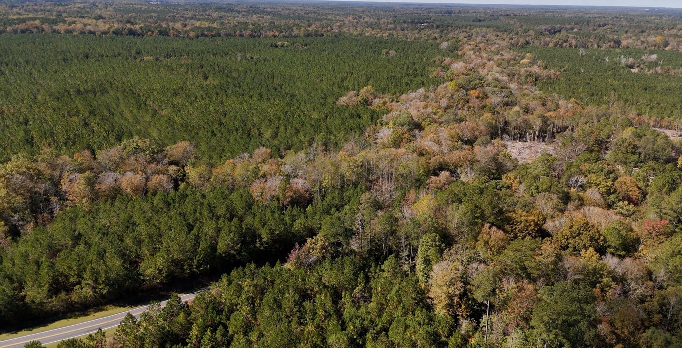 103 AFM Bladen 339 Photo 9