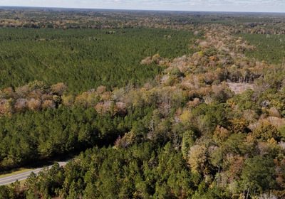 103 AFM Bladen 339 Photo 9