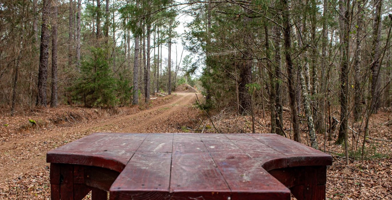 103 FORTLAWN IMG 6814