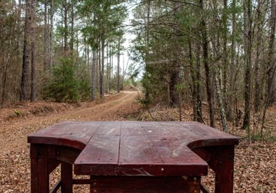 103 FORTLAWN IMG 6814