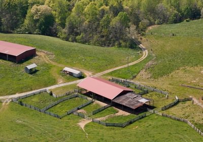 105 AFM Blue Q Ranch Photo 7
