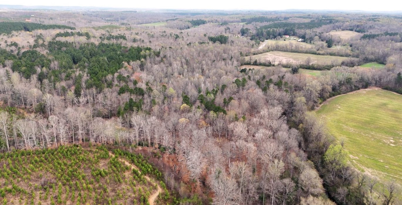 107 AFM West Fork 85 Photo 28