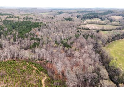 107 AFM West Fork 85 Photo 28