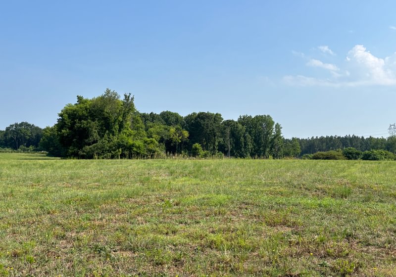 108 IMG 5137