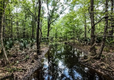 109 DJI 20250516231418 0074 D