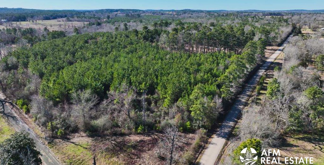 10 DJI 20250201142905 0025 V