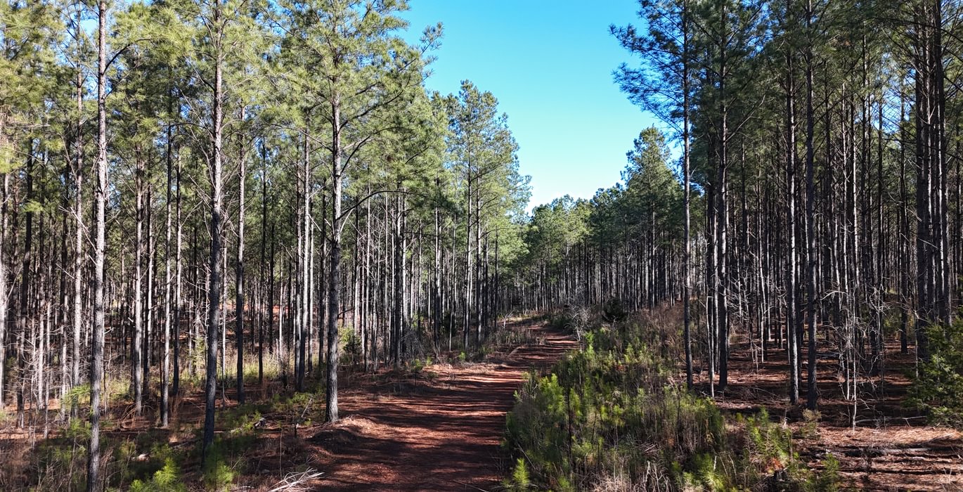 10 DJI 20260212103215 0038 D