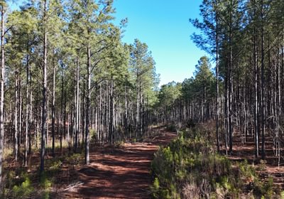 10 DJI 20260212103215 0038 D