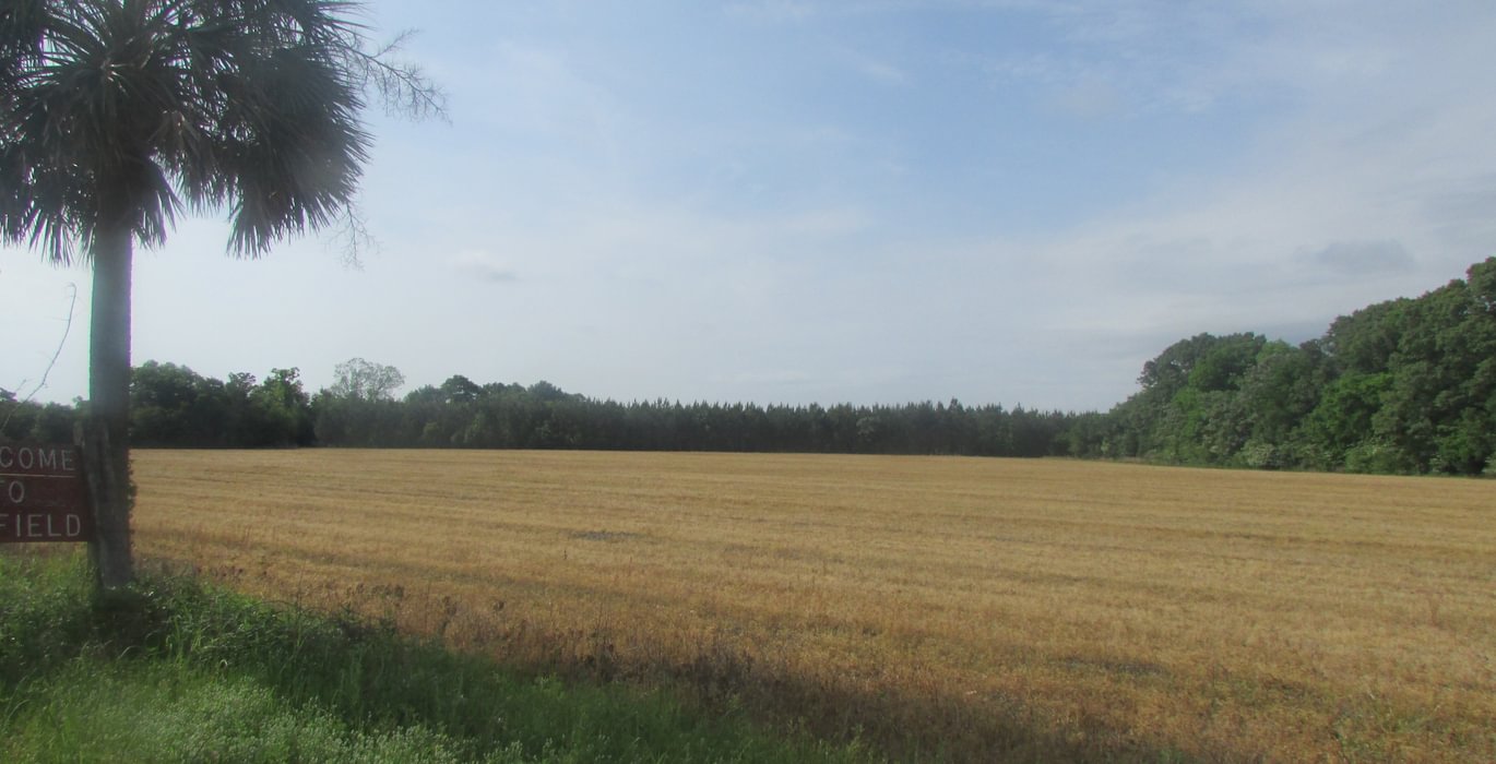 10 IMG 0722