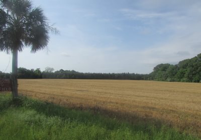 10 IMG 0722
