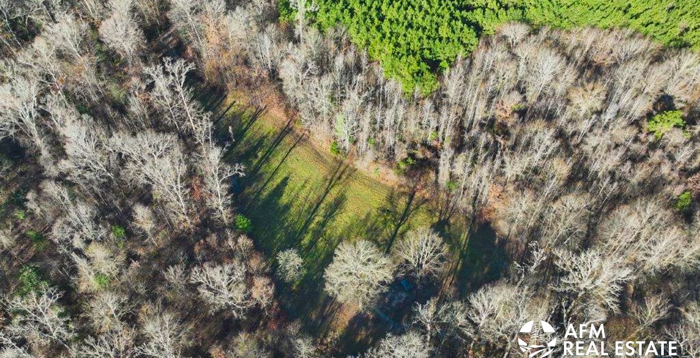 110 DJI 20250201090356 0017 V