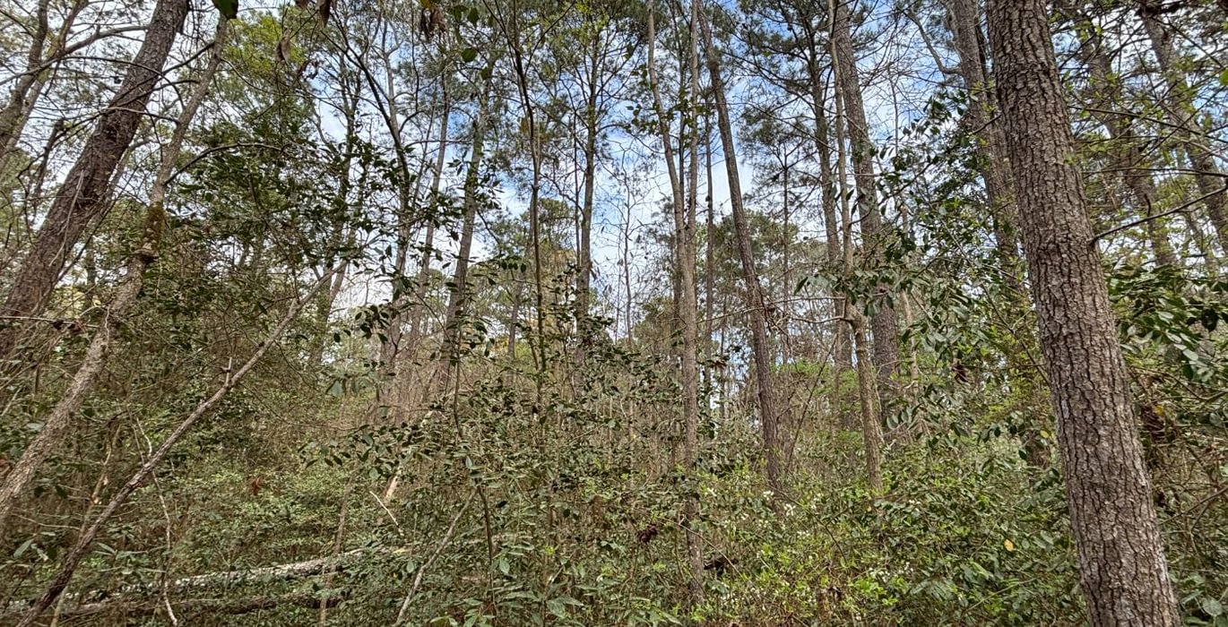 110 IMG 6429