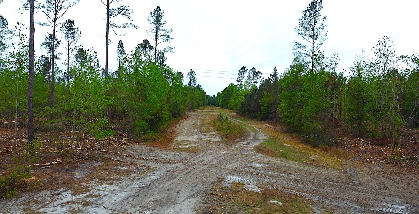 110 dji fly 20260407 144250 205 1775587529347 photo optimized