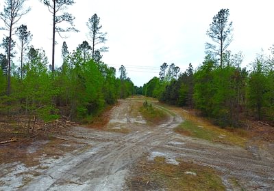 110 dji fly 20260407 144250 205 1775587529347 photo optimized