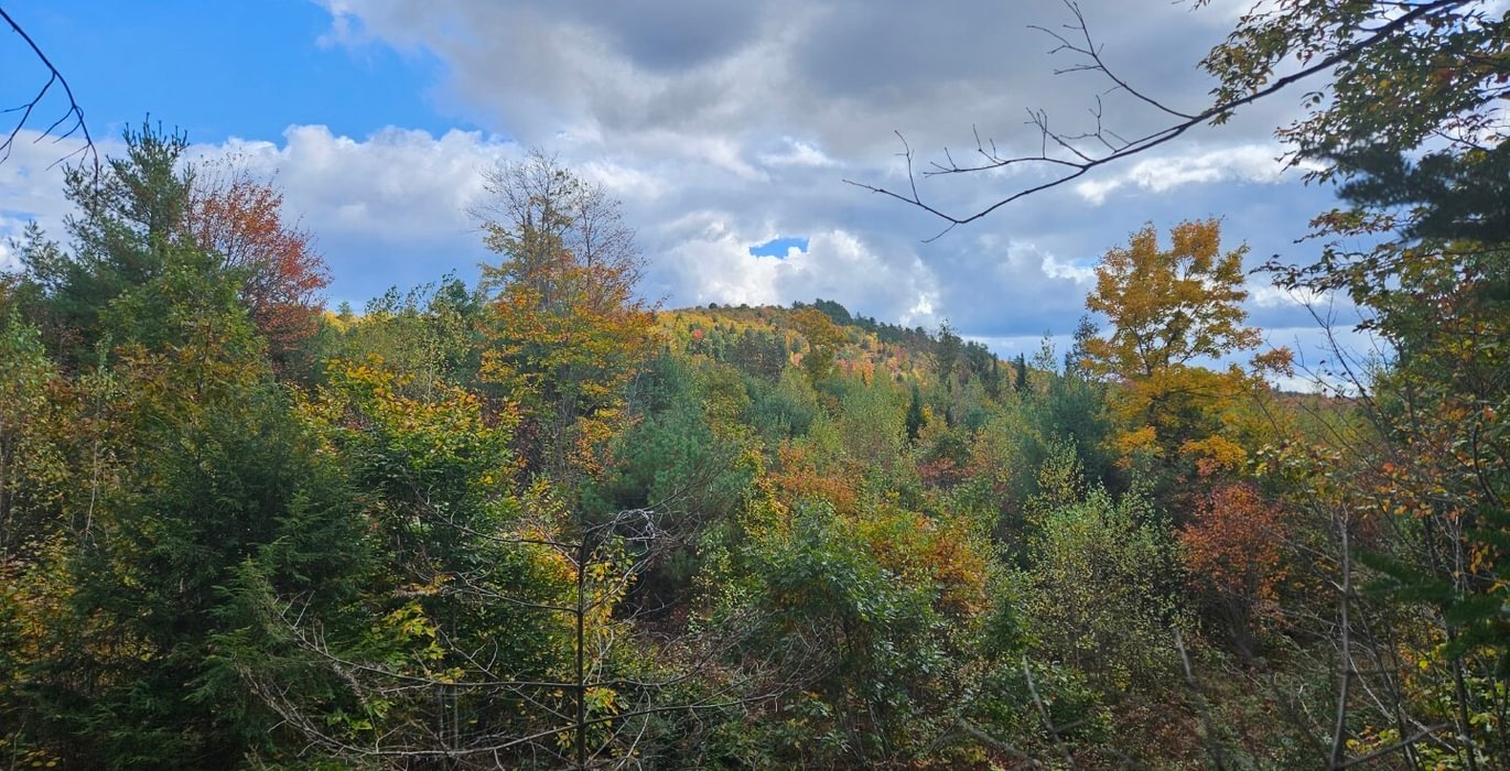 111 5 Lot with view looking west