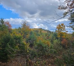 111 5 Lot with view looking west