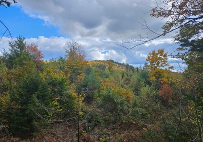 111 5 Lot with view looking west