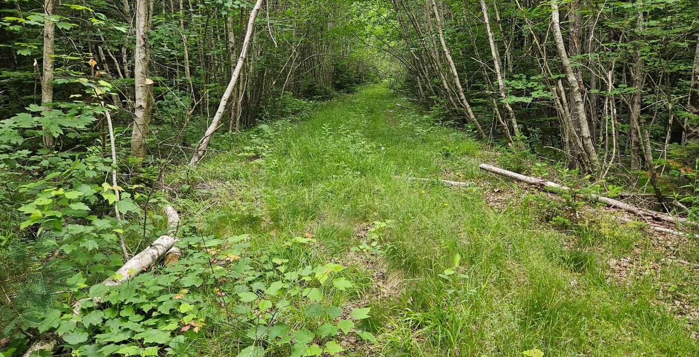 111 T7 access road 3