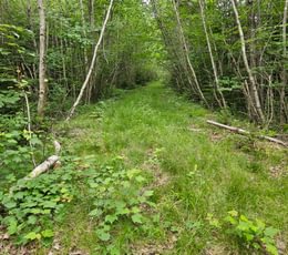 111 T7 access road 3