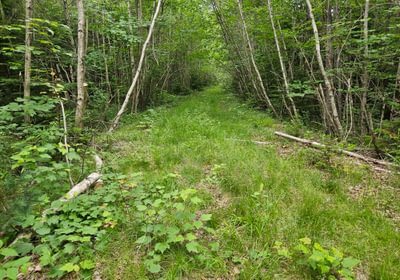 111 T7 access road 3