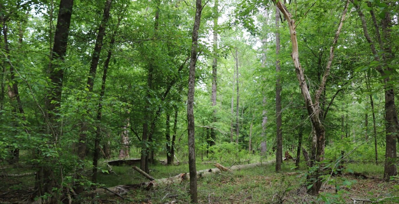 112 IMG 3808