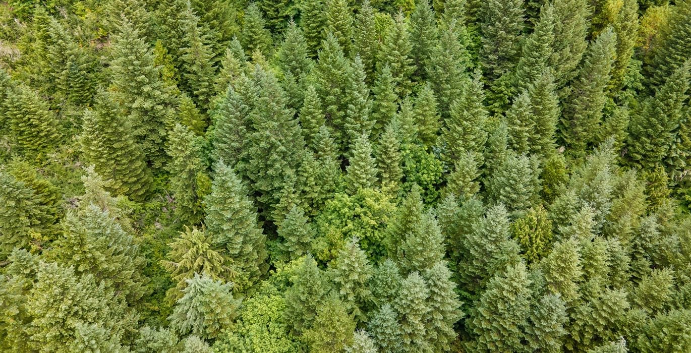 113 DJI 0698 HDR25