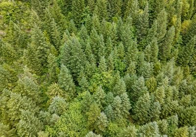 113 DJI 0698 HDR25