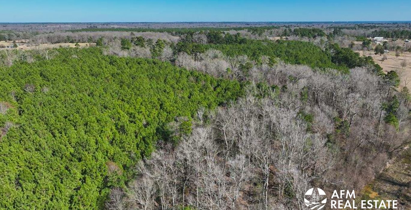 113 DJI 20250201143020 0032 V